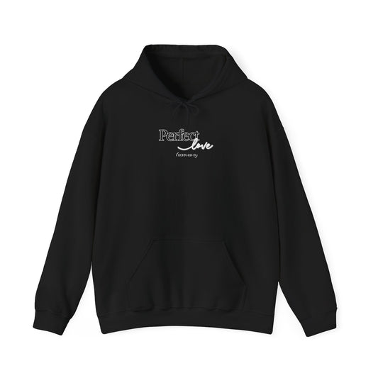 Perfect Love Hoodie | Oversized Pullover Sweatshirt, Minimal Script Design