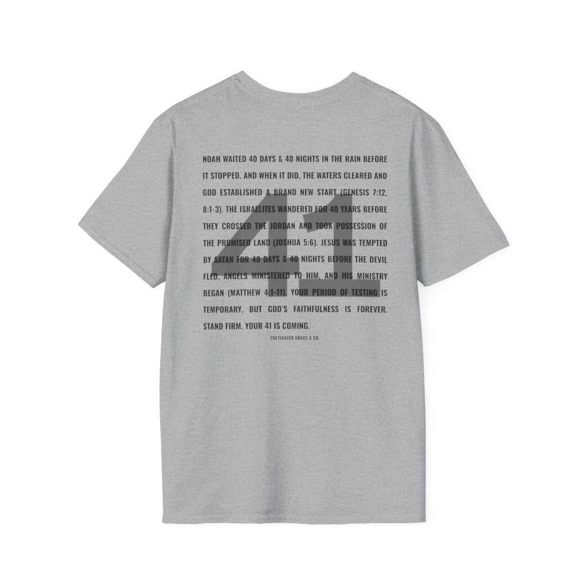 Day 41 Softstyle Tee in RS Sport Grey ā back
