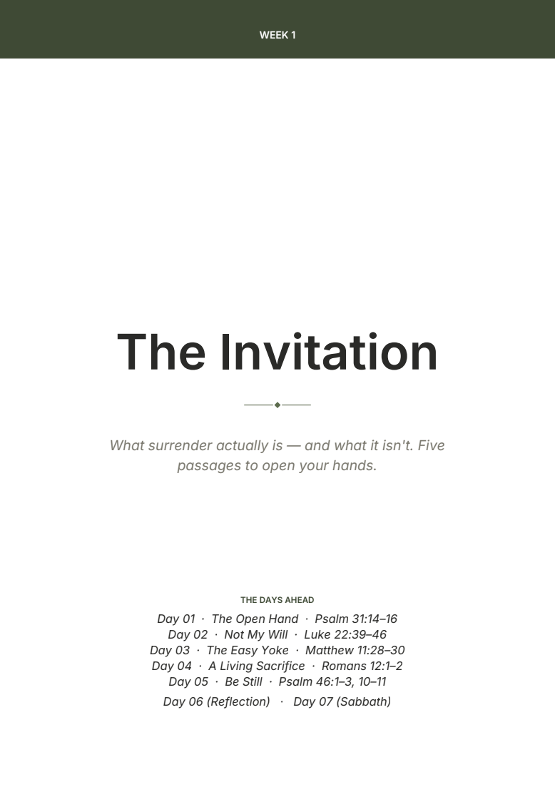 Surrendered - 6 Week Bible Study on Opening Your Hands to the One Who Holds Everything