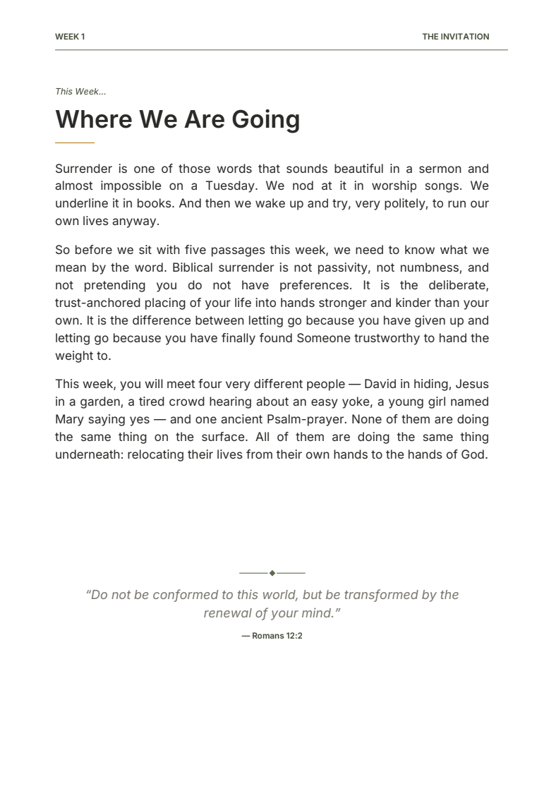 Surrendered - 6 Week Bible Study on Opening Your Hands to the One Who Holds Everything