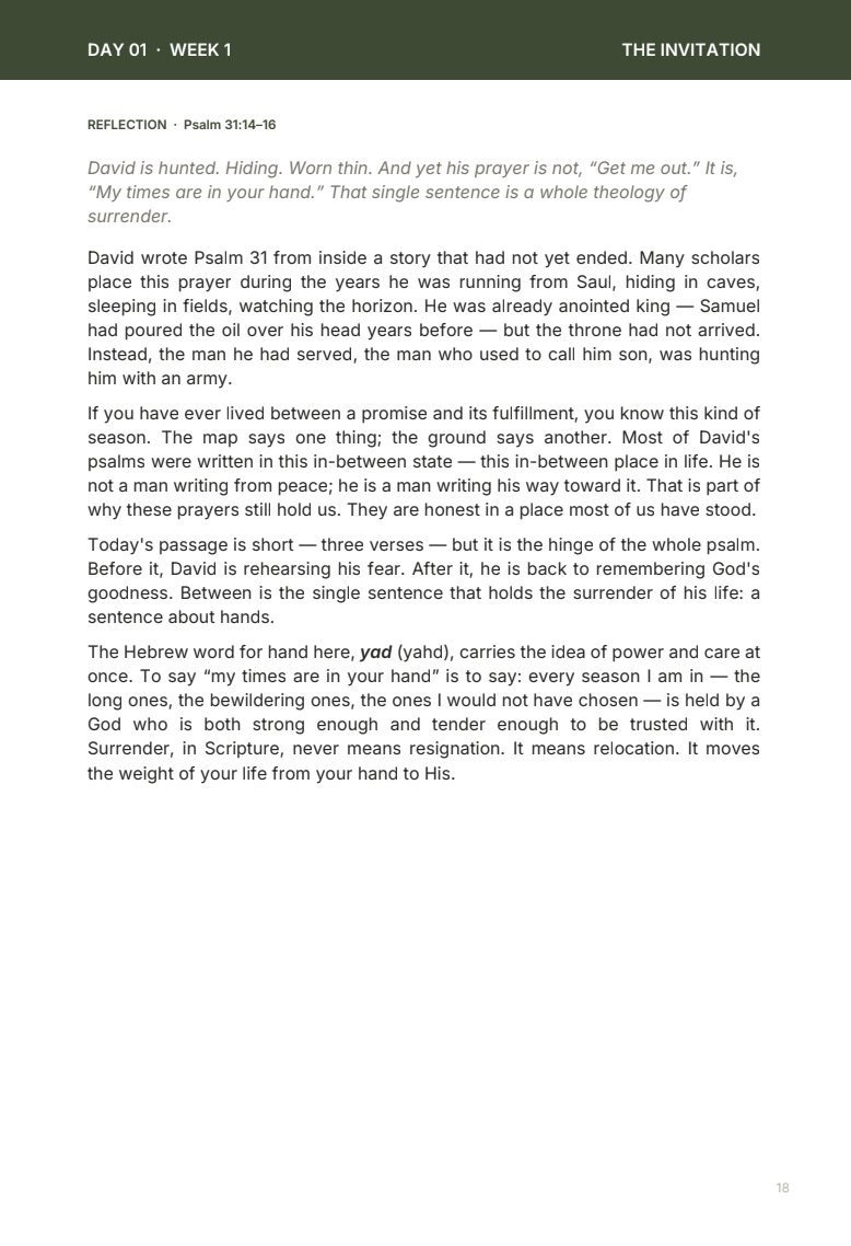 Surrendered - 6 Week Bible Study on Opening Your Hands to the One Who Holds Everything