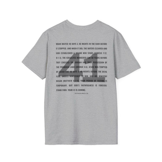 Day 41 Softstyle Tee in RS Sport Grey — back