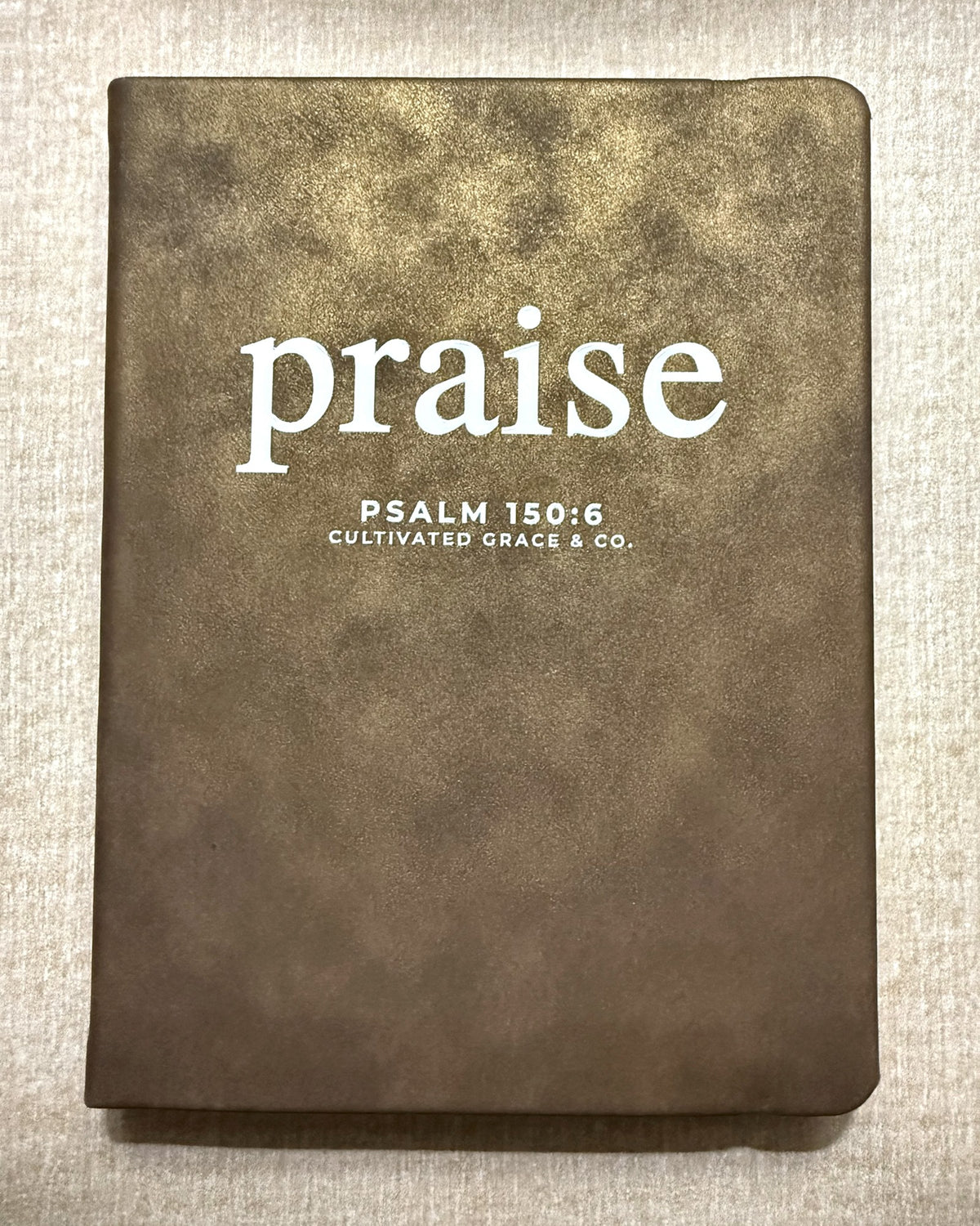 Praise faith word journal, print style, Shimmer Brown hardcover with Praise lettering