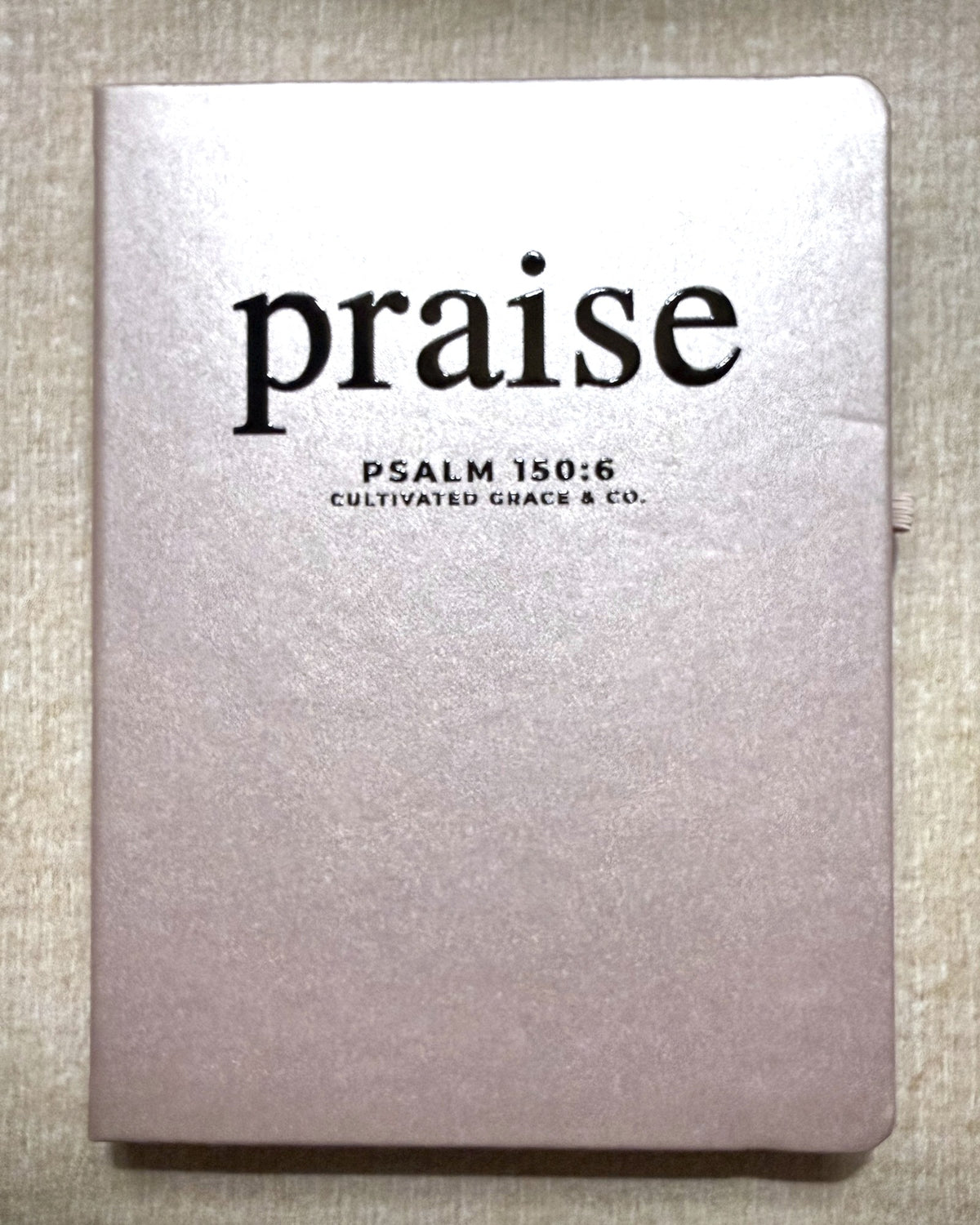 Praise faith word journal, print style, Shimmer Pink hardcover with Praise lettering