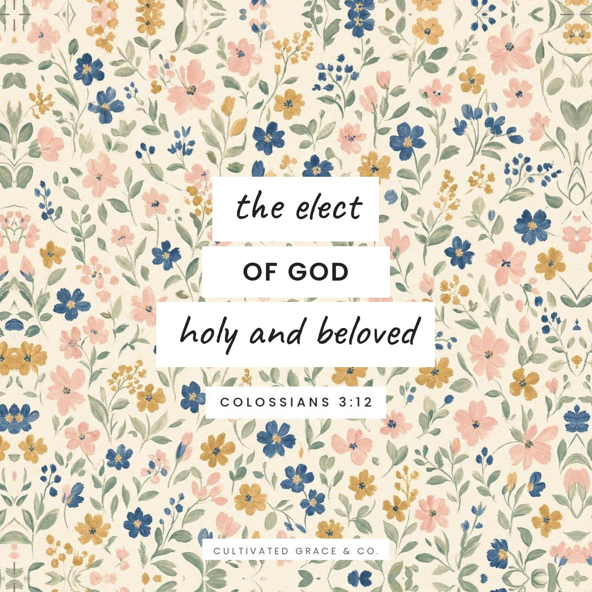 Wildflower scripture card (BSB): The Elect of God, Holy and Beloved, Colossians 3:12, painted wildflower background with white lettering labels